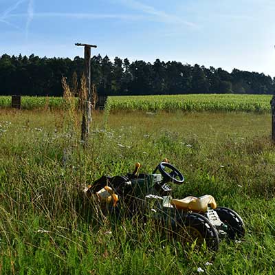 Nachhaltige Wiesen für die Bienen