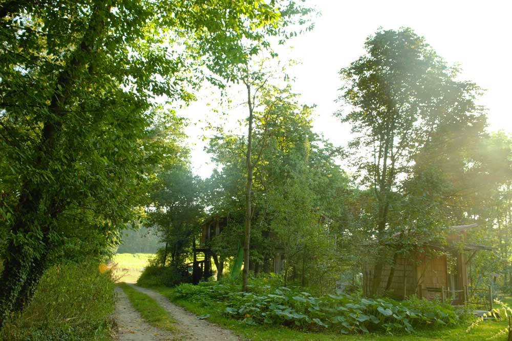 Baumhäuser mitten in der Natur