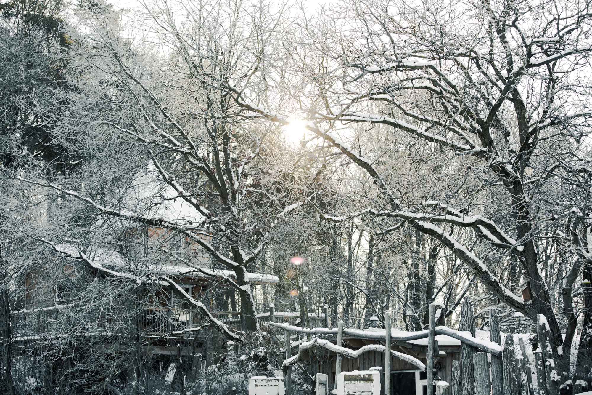 Winter Wonderland auf dem Naturhof